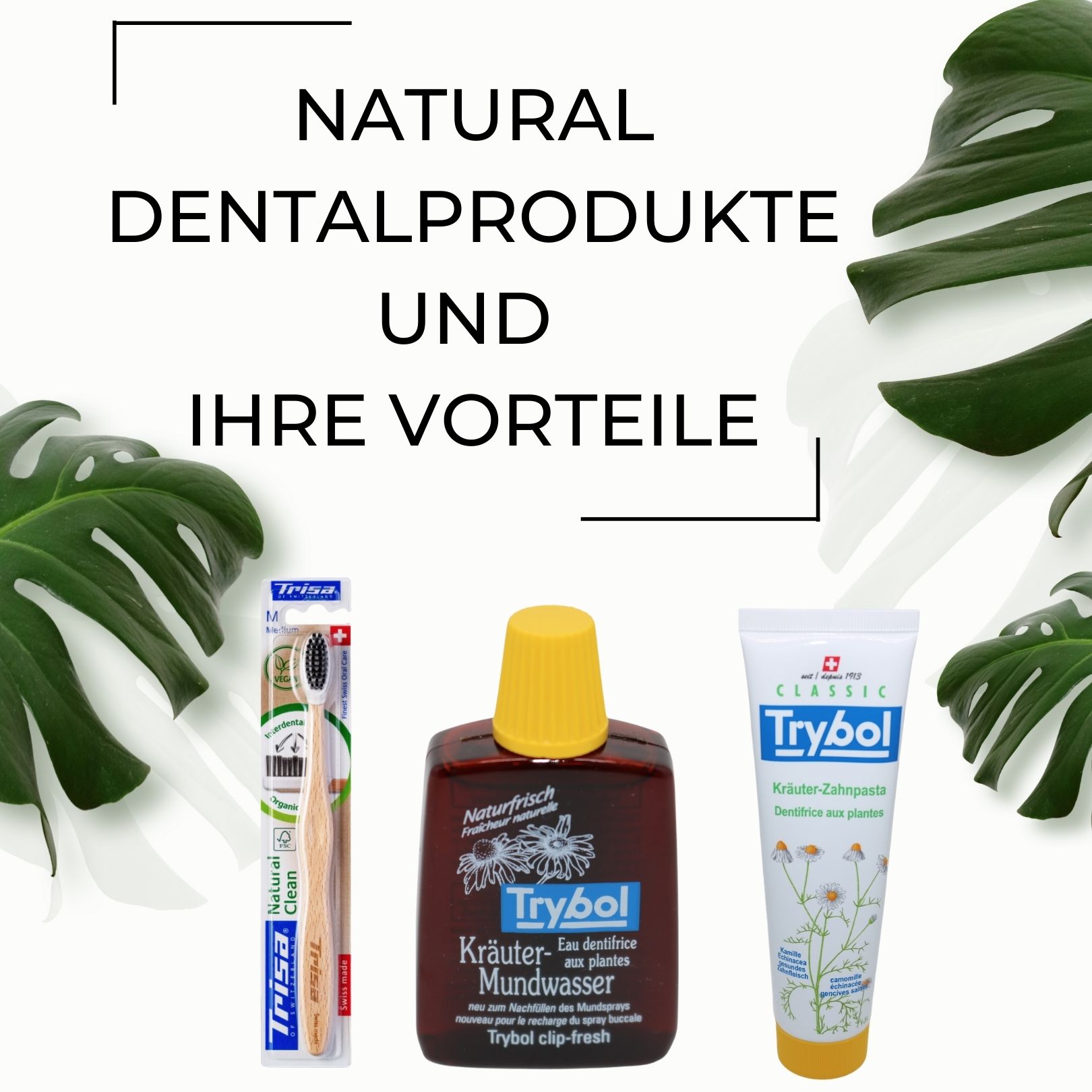 natural dentalprodukte